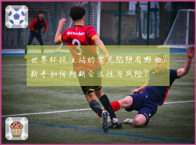 世界杯投注站的常见陷阱有哪些？新手如何判断合法性与风险？