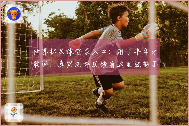 世界杯买球登录入口：用了半年才敢说，真实测评反馈看这里就够了