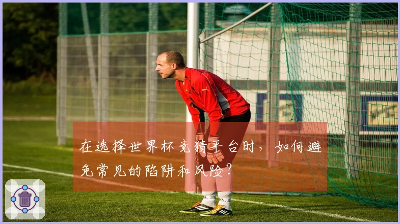在选择世界杯竞猜平台时，如何避免常见的陷阱和风险？