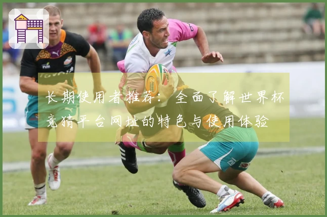 长期使用者推荐：全面了解世界杯竞猜平台网址的特色与使用体验