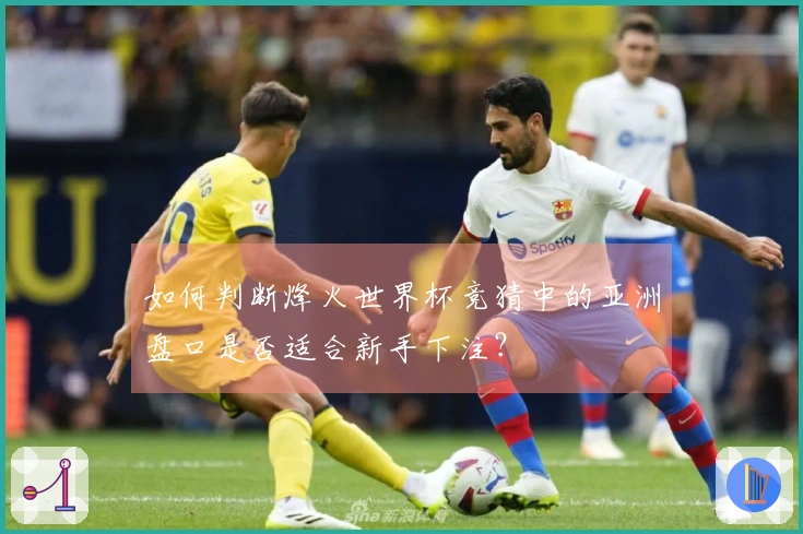 如何判断烽火世界杯竞猜中的亚洲盘口是否适合新手下注？