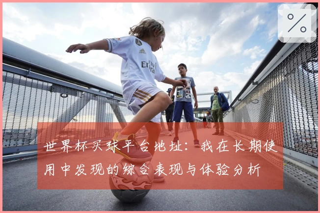 世界杯买球平台地址：我在长期使用中发现的综合表现与体验分析