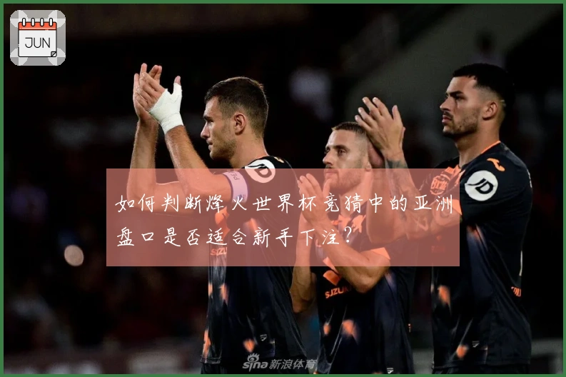 如何判断烽火世界杯竞猜中的亚洲盘口是否适合新手下注？