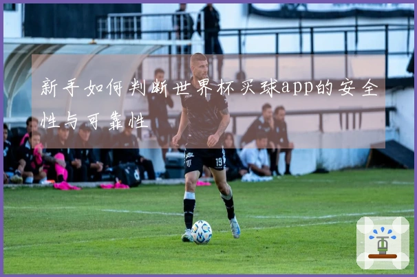新手如何判断世界杯买球app的安全性与可靠性