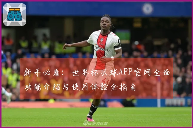 新手必看：世界杯买球APP官网全面功能介绍与使用体验全指南