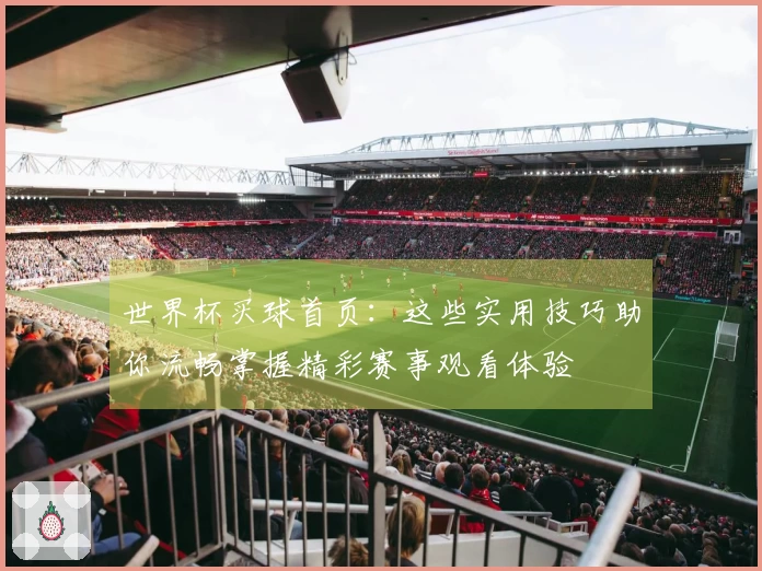 世界杯买球首页：这些实用技巧助你流畅掌握精彩赛事观看体验
