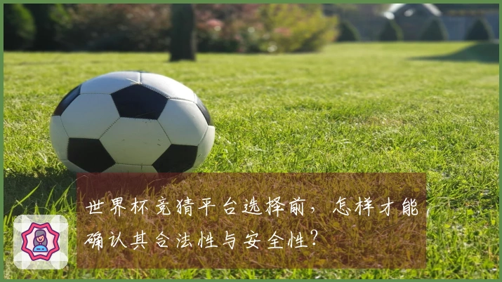 世界杯竞猜平台选择前，怎样才能确认其合法性与安全性？