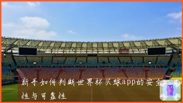 新手如何判断世界杯买球app的安全性与可靠性