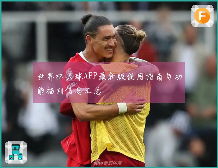 世界杯买球APP最新版使用指南与功能福利信息汇总
