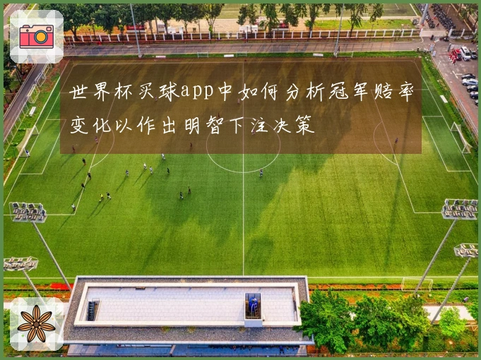世界杯买球app中如何分析冠军赔率变化以作出明智下注决策