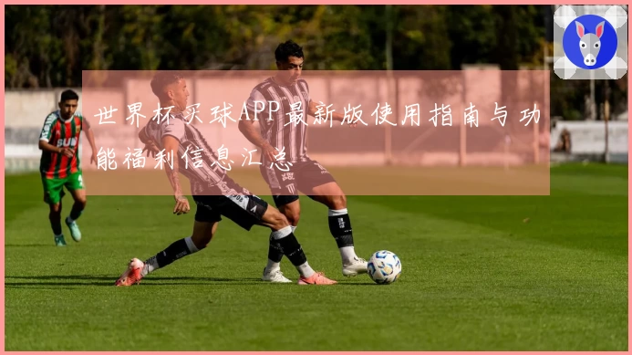 世界杯买球APP最新版使用指南与功能福利信息汇总