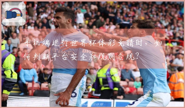 手机端进行世界杯体彩竞猜时，如何判断平台安全和规则合规？