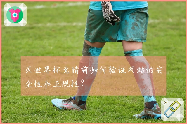 买世界杯竞猜前如何验证网站的安全性和正规性？