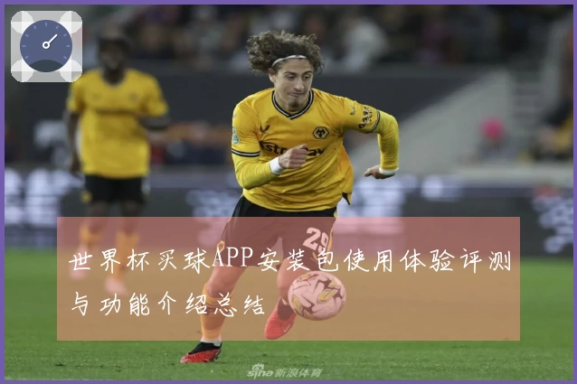世界杯买球APP安装包使用体验评测与功能介绍总结