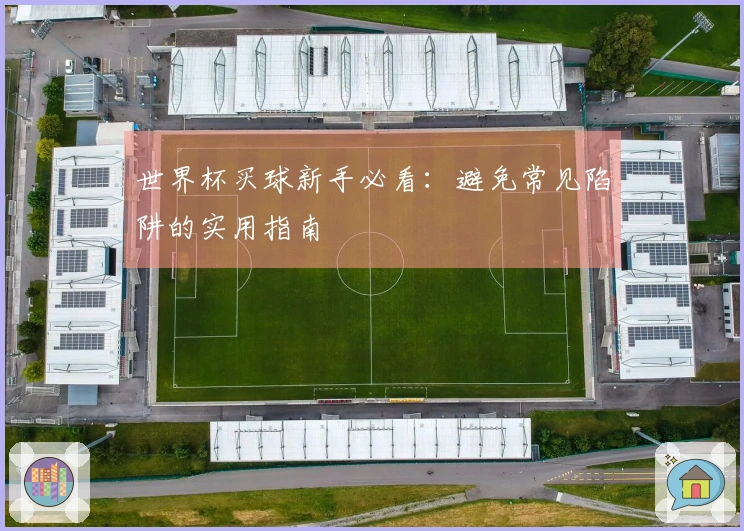 世界杯买球新手必看：避免常见陷阱的实用指南