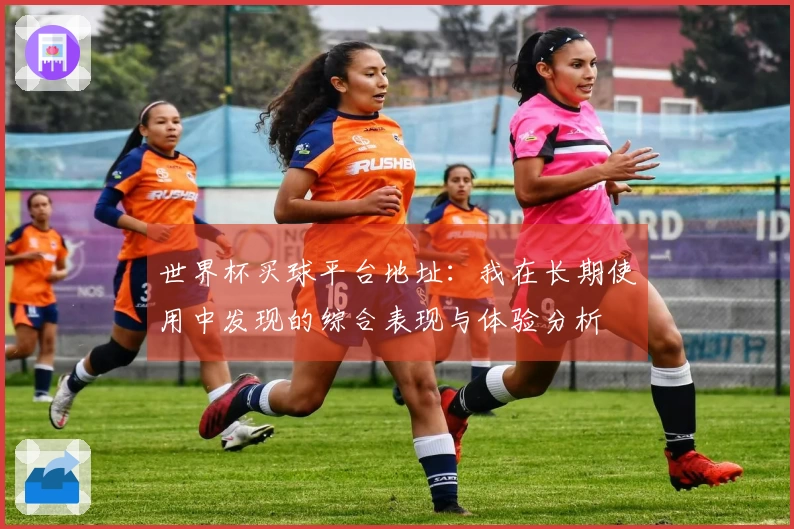 世界杯买球平台地址：我在长期使用中发现的综合表现与体验分析