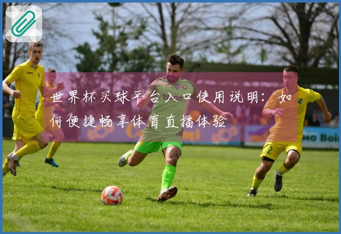 世界杯买球平台入口使用说明：如何便捷畅享体育直播体验