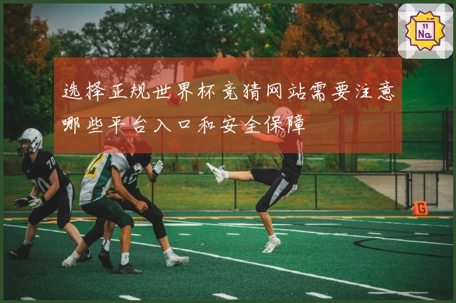 选择正规世界杯竞猜网站需要注意哪些平台入口和安全保障